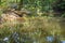 Wood canoe in beautiful nature by the river bank