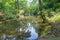 Wood canoe in beautiful nature by the river bank