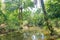 Wood canoe in beautiful nature by the river bank