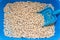 Wood cat litter on a white background. Pets Article about the cat`s toilet and the smell from it. Cat odor neutralizer