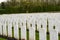 Wood Cemetery great world war one flanders Belgium