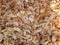 Wood chaff background texture