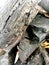 Wood charcoal closeup stock photos