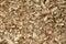 Wood chippings in sawmill detail