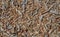 Wood Chips for Abstract Texture Background