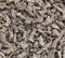 Wood chips background