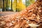 wood chips, suitable for biomass energy production