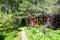 Wood country house in overgrown ornamental garden