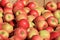 Wood crate filled with just picked apples