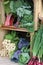 Wood crates filled with fresh picked vegetables