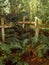 Wood cross in patagonian cementery in Chile, Caleta Tortel. Dead island in river Baker. forest