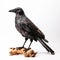 Wood Crow Sculpture By Alexander Taylor - Detailed Wildlife Art