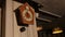 Wood Cuckoo Clock 12 O`Clock Chime Bird