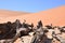 Wood deadvlei sossusvlei Dry pan tree desert Sand dune Namibia Africa