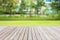 Wood decking or flooring and plant in garden decorative