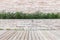 Wood decking or flooring and plant in garden decorative