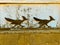wood desert wall carving roadrunner birds wooden cutout stone building garden house art