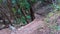 Wood and dirt steps through forest trails