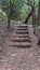 Wood and dirt steps through forest trails