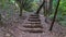 Wood and dirt steps through forest trails