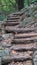 Wood and dirt steps through forest trails