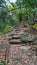 Wood and dirt steps through forest trails