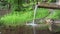 Wood drinking fountain in nature.