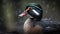 A wood duck bird portrait. Blurry background. Generative AI