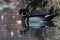 Wood Duck Mirror Thatch