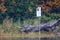 Wood Duck nesting box on a pond in northern Wisconsin