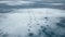 Wood Duck tracks on the frozen pond