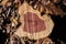 Wood of Eastern Red Cedar