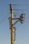 A wood electricity pylon with cabling and insulators