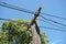 Wood electricity pylon in country Thailand