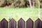 Wood fence barrier green nature background