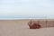 Wood Fence on an Empty Oak Street Beach along Lake Michigan in Chicago