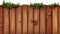 wood fence and green grass