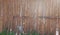 Wood fence grunge background