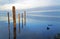 Wood Fence Posts leading out into a still blue lagoon, The Camargue