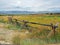 Wood fence on a prairie