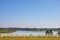 Wood fence with tranquil scenery of lakeside park