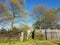 Wood fence with weeds and trees and house