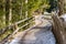 Wood fenced Walk path in alpine forest on Dolomites mountains