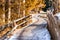 wood fenced Walk path in alpine forest on Dolomites mountains