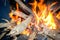 Wood fire, fire and fire for fire camping