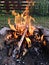 Wood fire in the garden - fireplace - camp fire