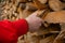 Wood firewood.solid fuel. Heating season. hands in a red jacket takes firewood from a woodpile