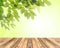 Wood floor and fresh leaves on green background