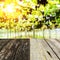 Wood floor and grapes tree background