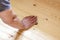 Wood floor sanding. The wizard processes the tree. Construction.